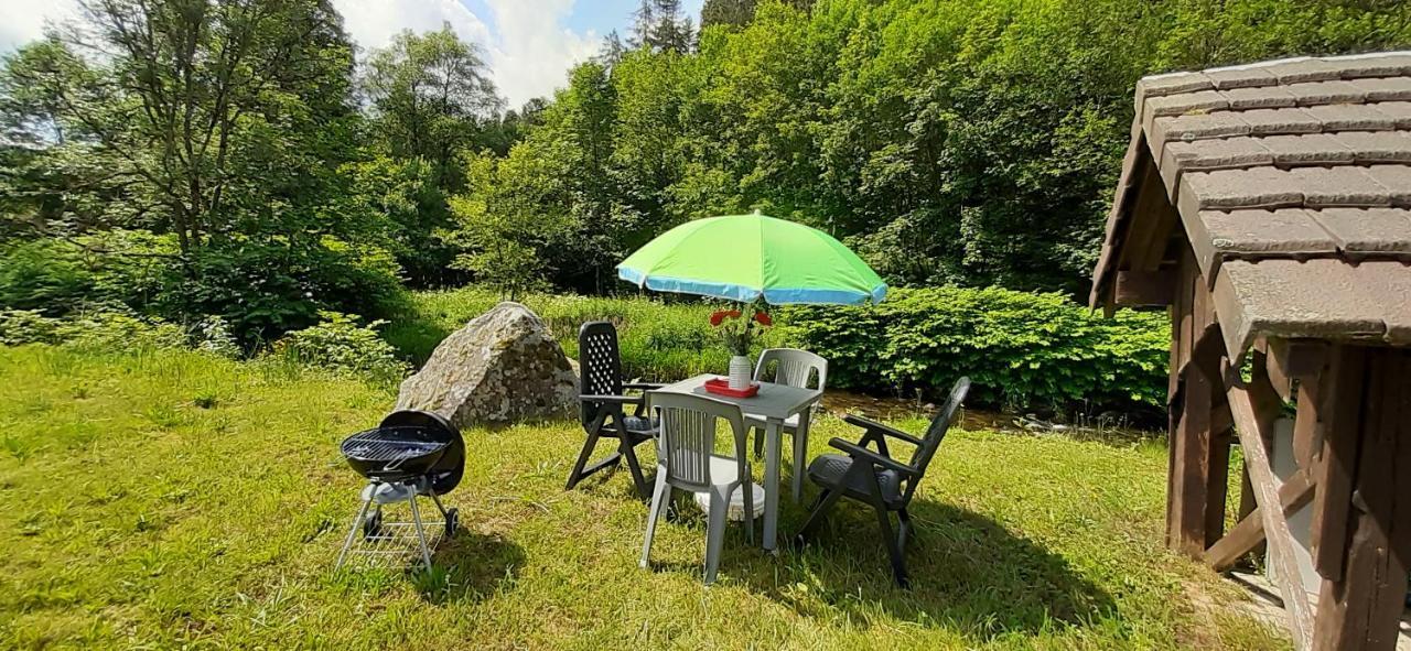 La Perle Au Bord De La Riviere Διαμέρισμα Gérardmer Εξωτερικό φωτογραφία