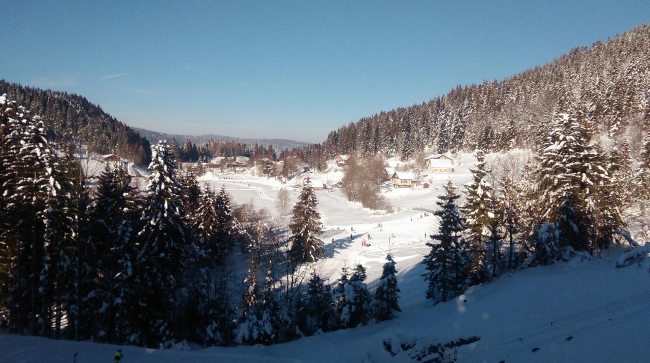 La Perle Au Bord De La Riviere Διαμέρισμα Gérardmer Εξωτερικό φωτογραφία